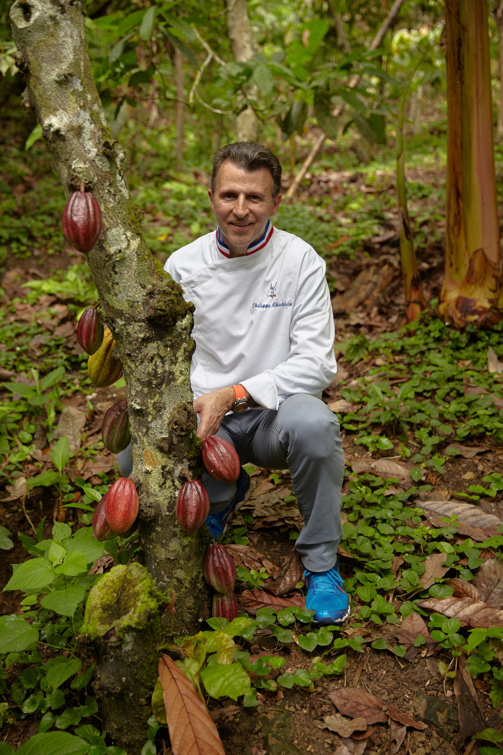 Philippe Chatelain dans la plantation avec des cabosses